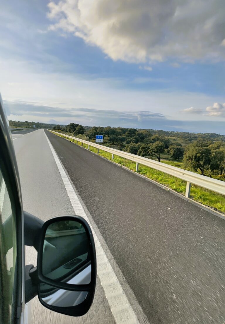 Auto invoeren Portugal